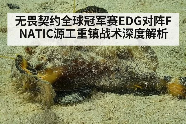 无畏契约全球冠军赛EDG对阵FNATIC源工重镇战术深度解析